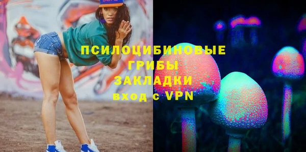 mix Бородино