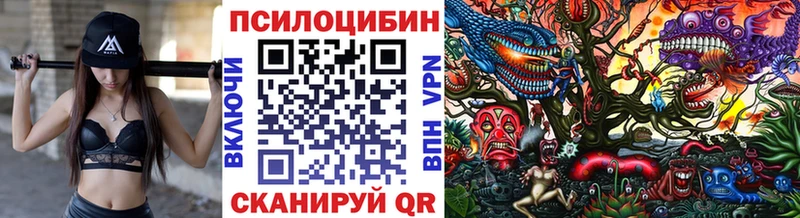 Псилоцибиновые грибы прущие грибы  Зеленодольск 